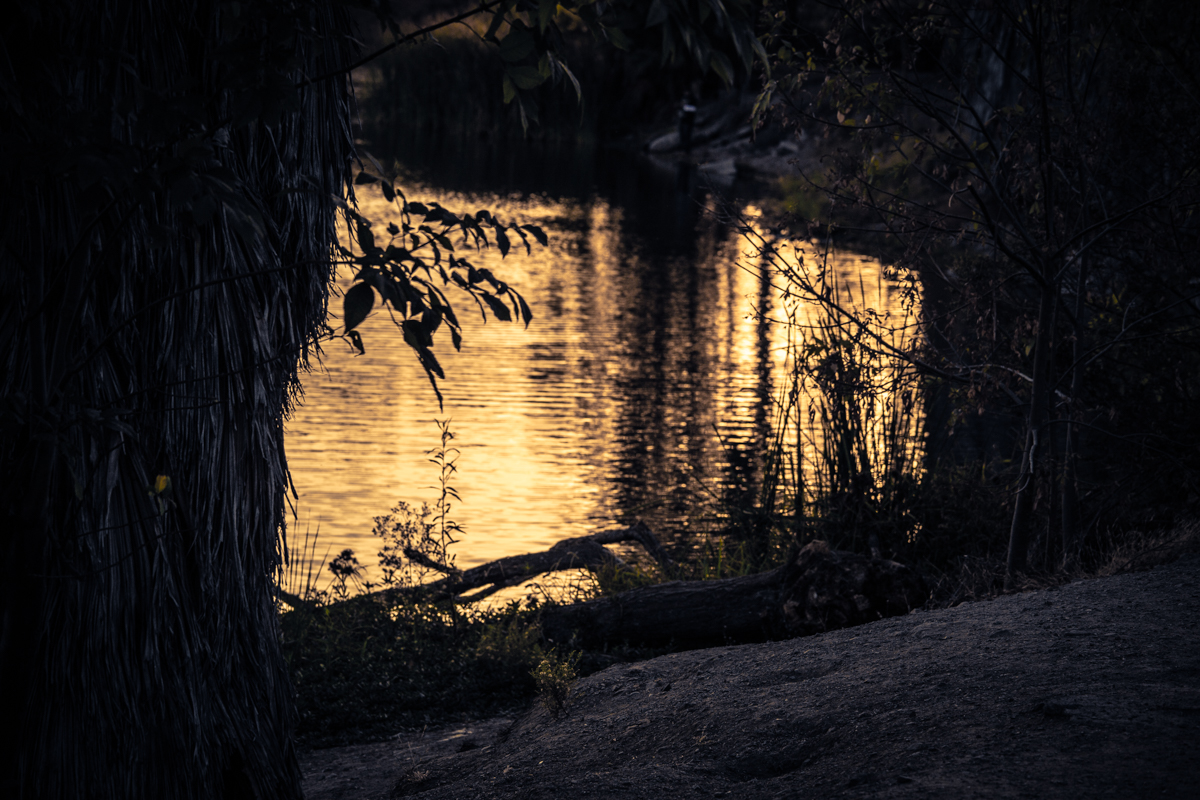 Только вода!