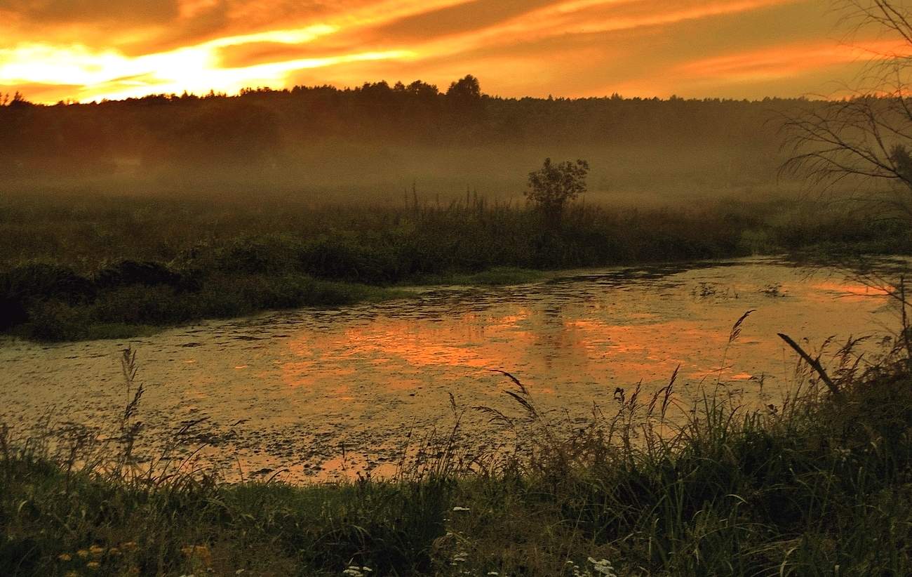 Туманный вечер