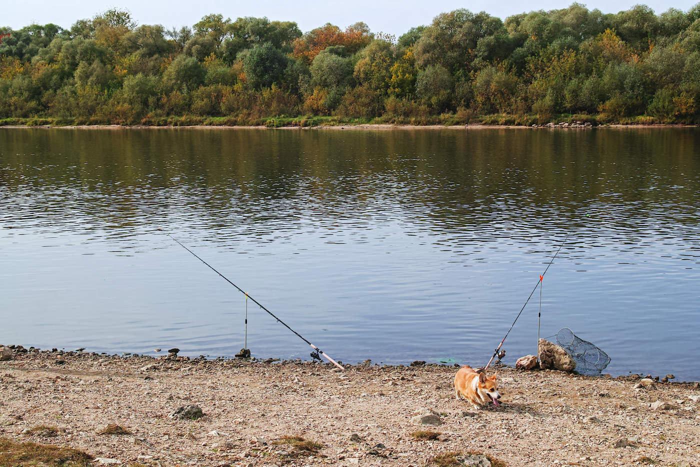 На том берегу