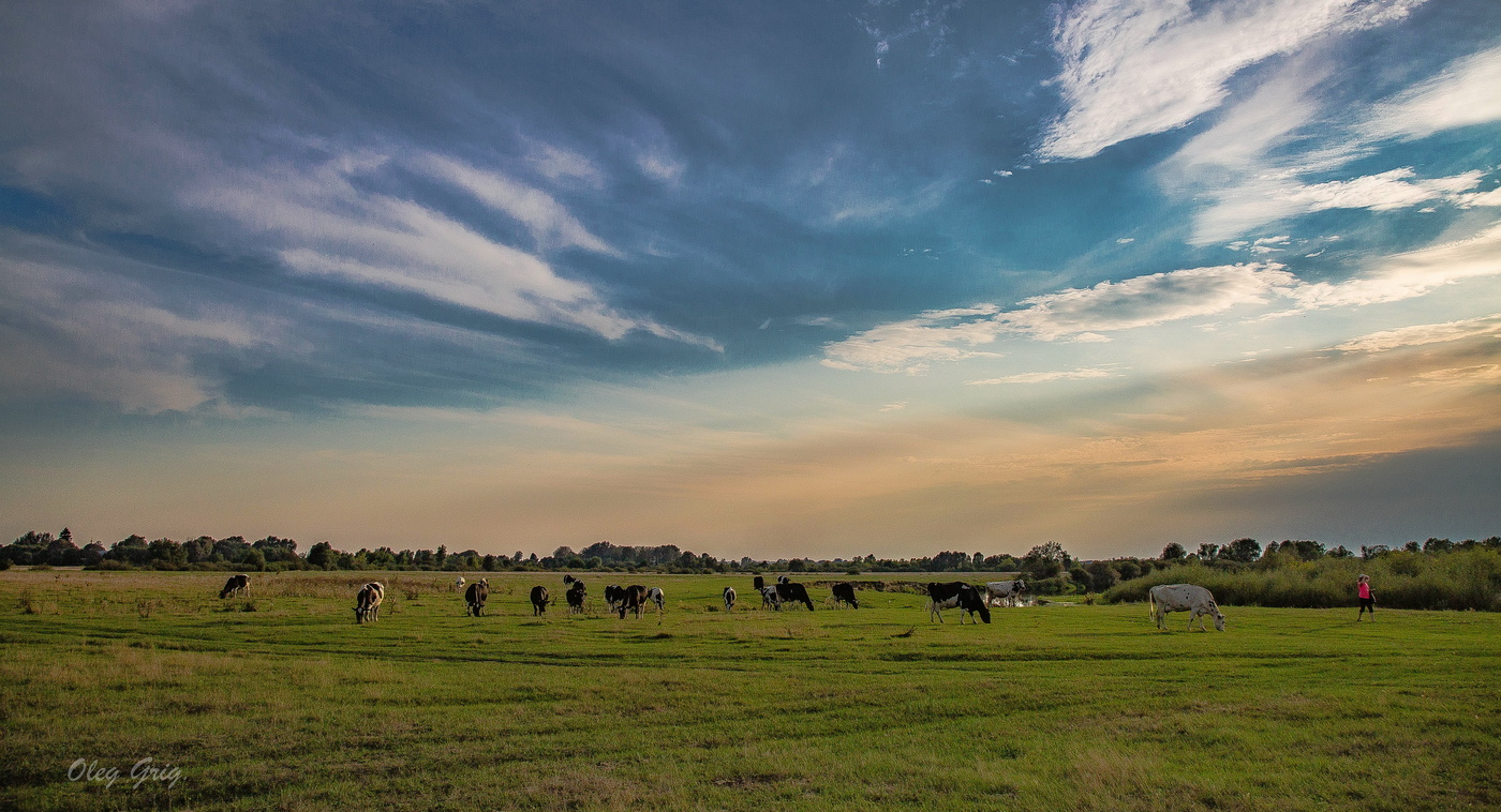 Догорал осенний вечер...