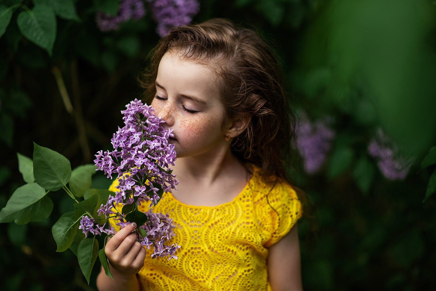 Жёлтый. Сиреневый. Зелёный.