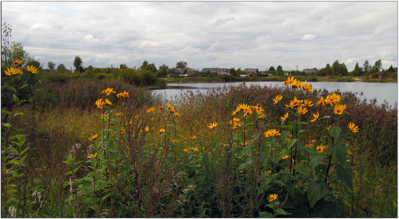 auf der anderen Seite