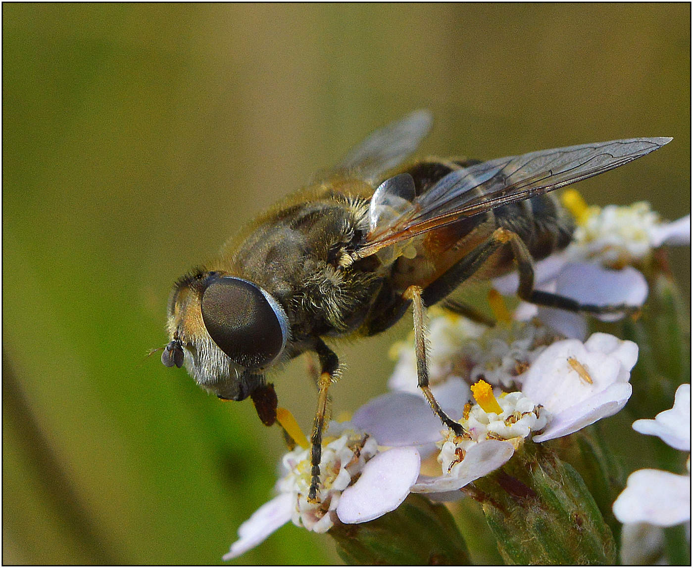 Кому как, а мне вкусно.