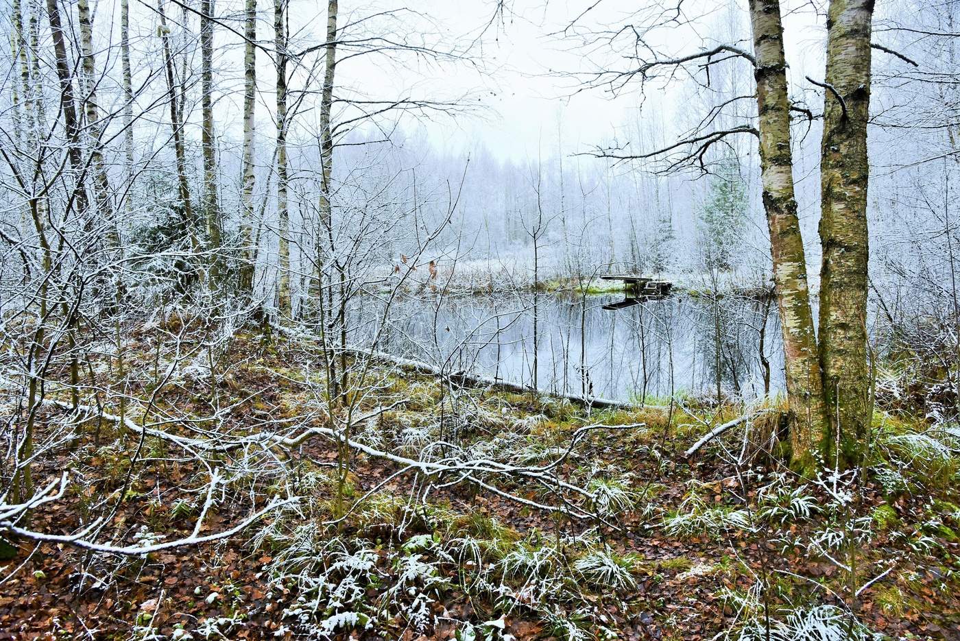 "Ноябрь... Все ближе зимняя граница..."