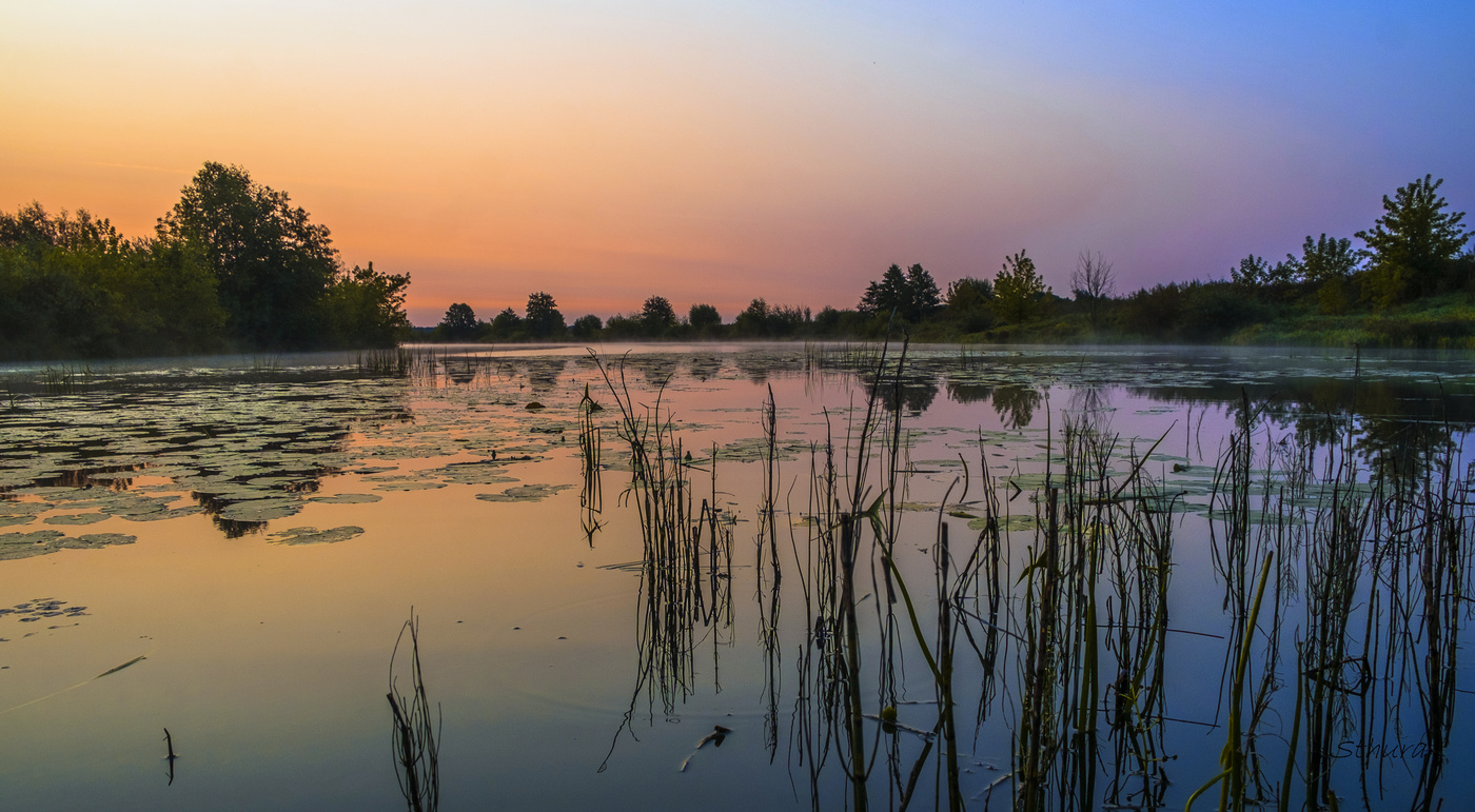 Утренняя прогулка.