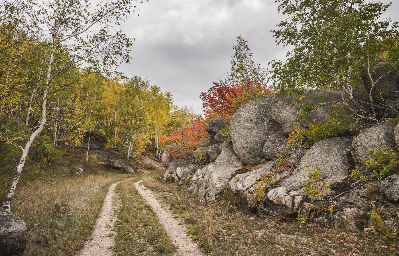 Куда, ты дорожка, меня завела...