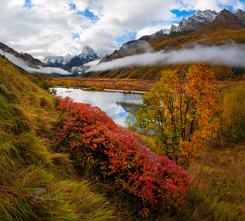 Разноцветие осени