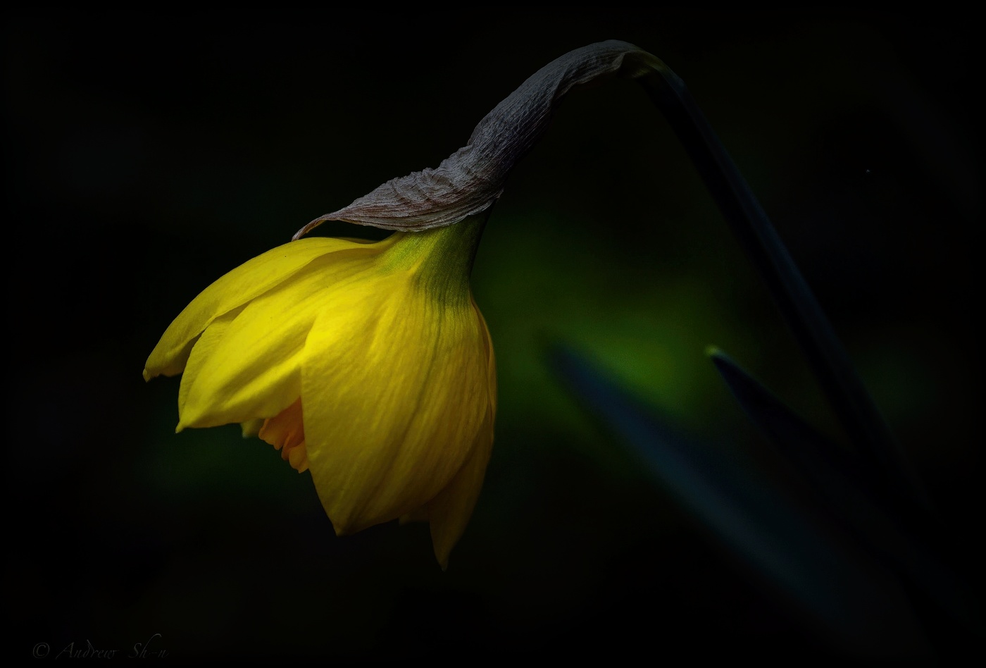 Поздняя Осень