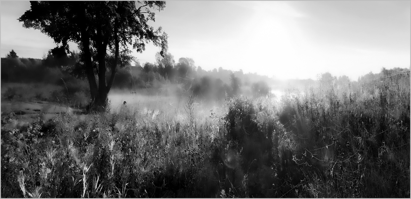 Утро вечера мудренее