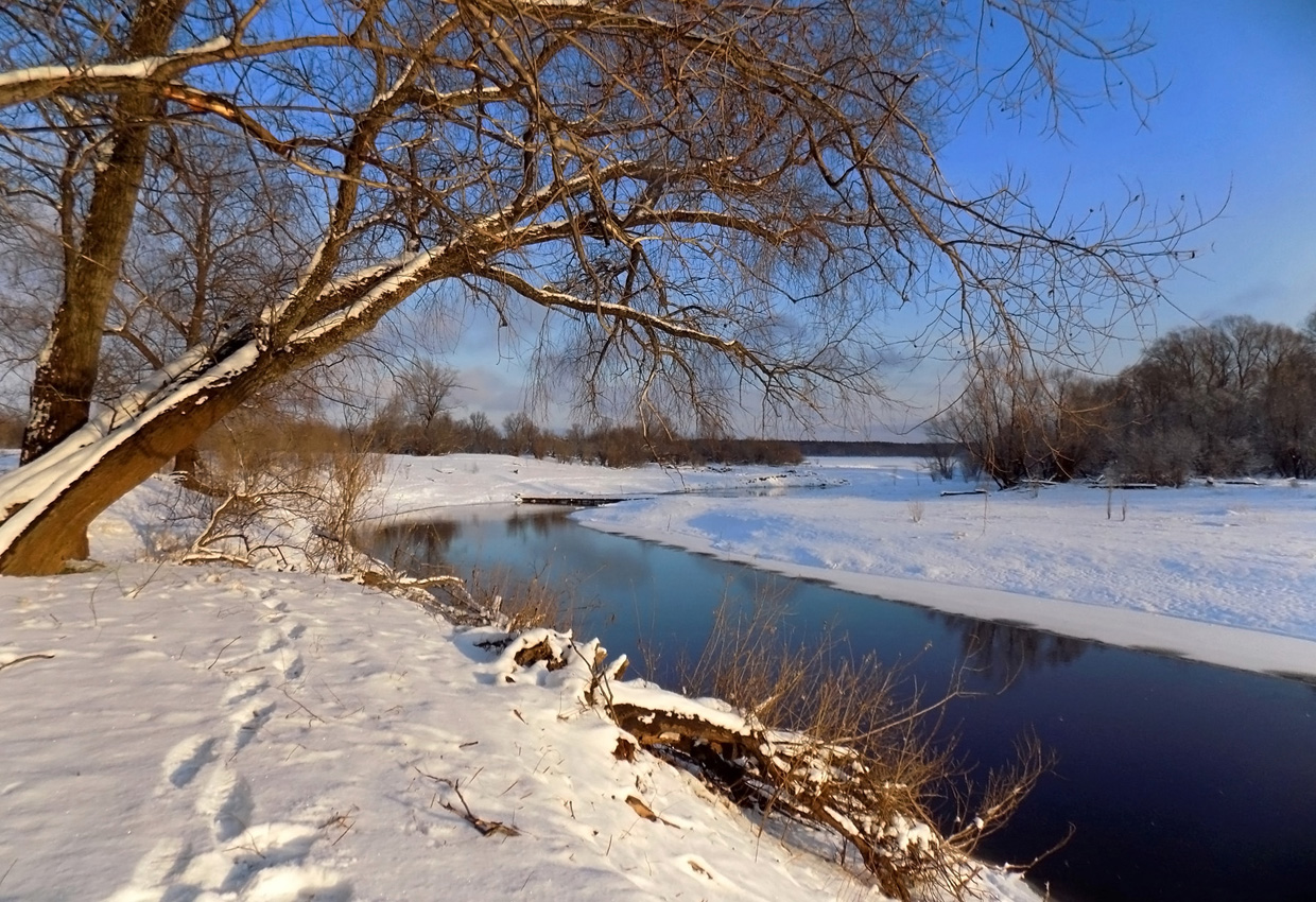 Ноябрь. С каждым днём всё ближе зимняя граница...