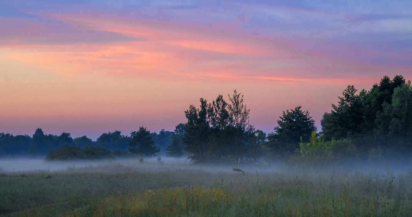Утренний пейзаж.