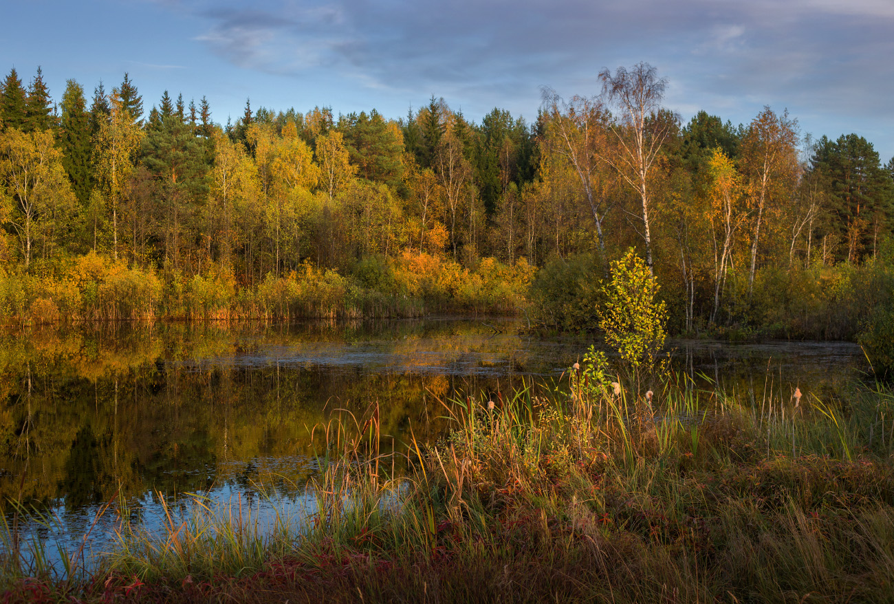 В закатных лучах