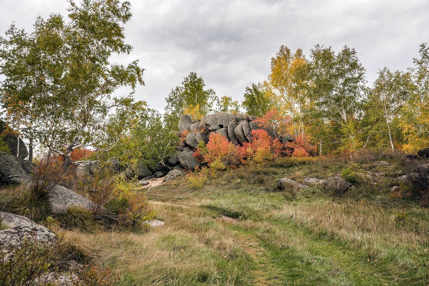 Природа умеет удивить