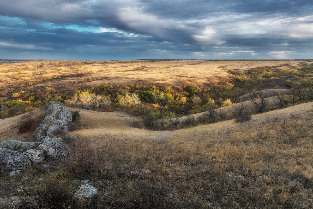 Под низким солнцем октября