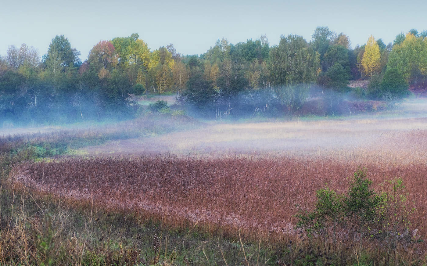 Синий туман