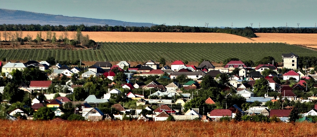 В предгорье Кавказа