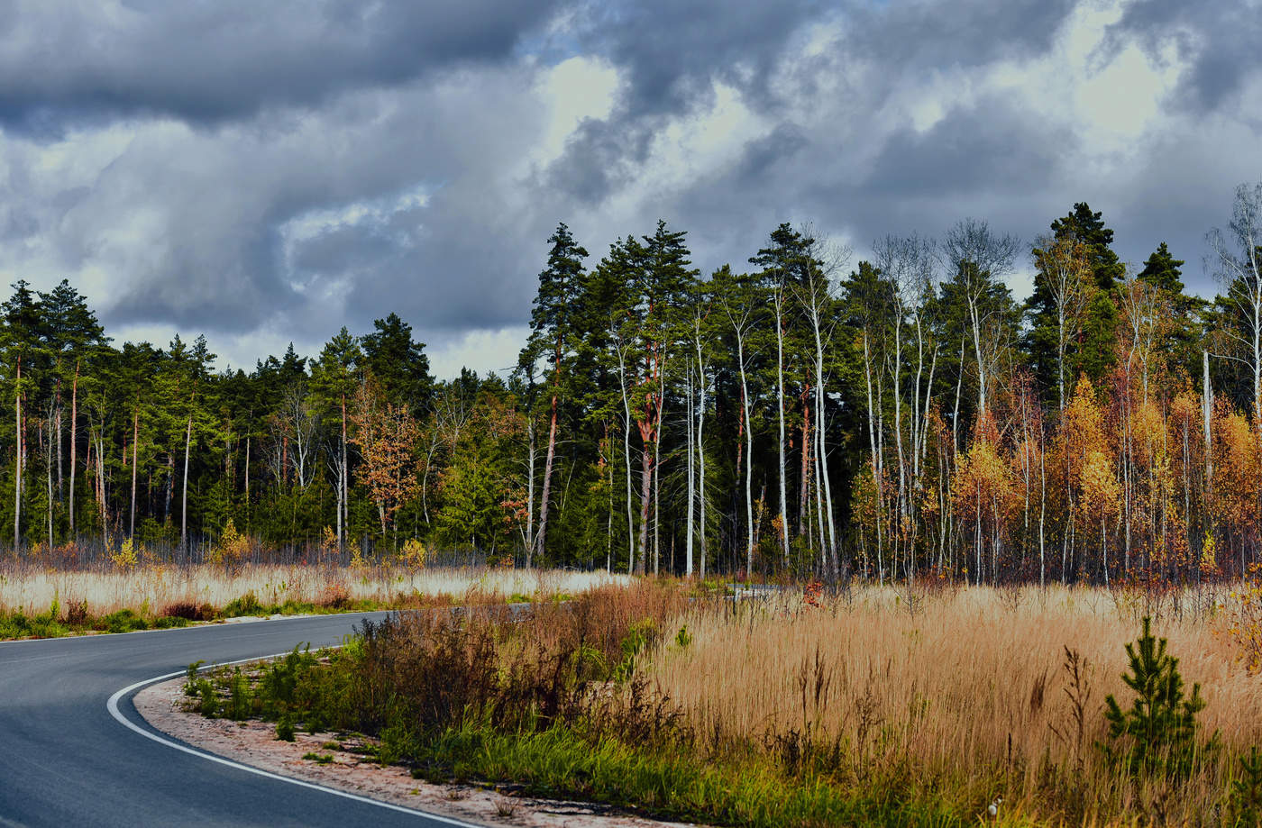 Дорога к озеру