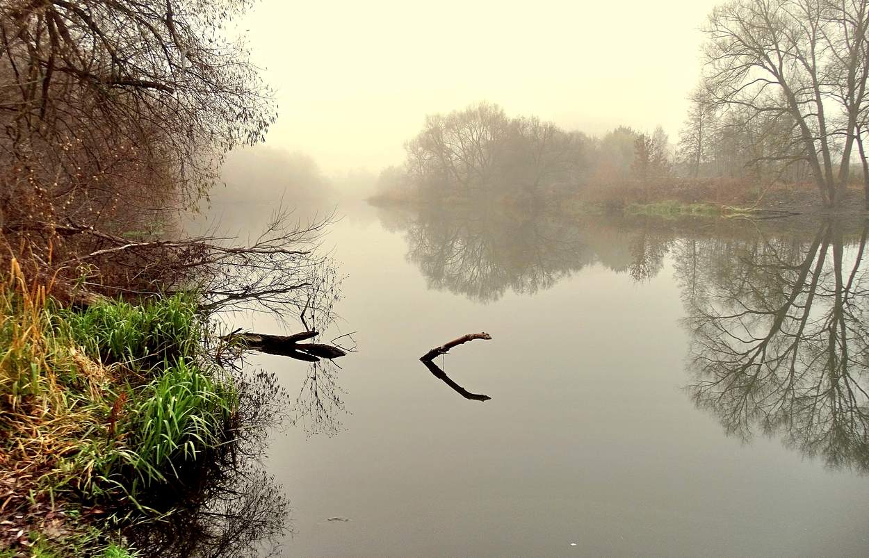 Ноябрьские туманы