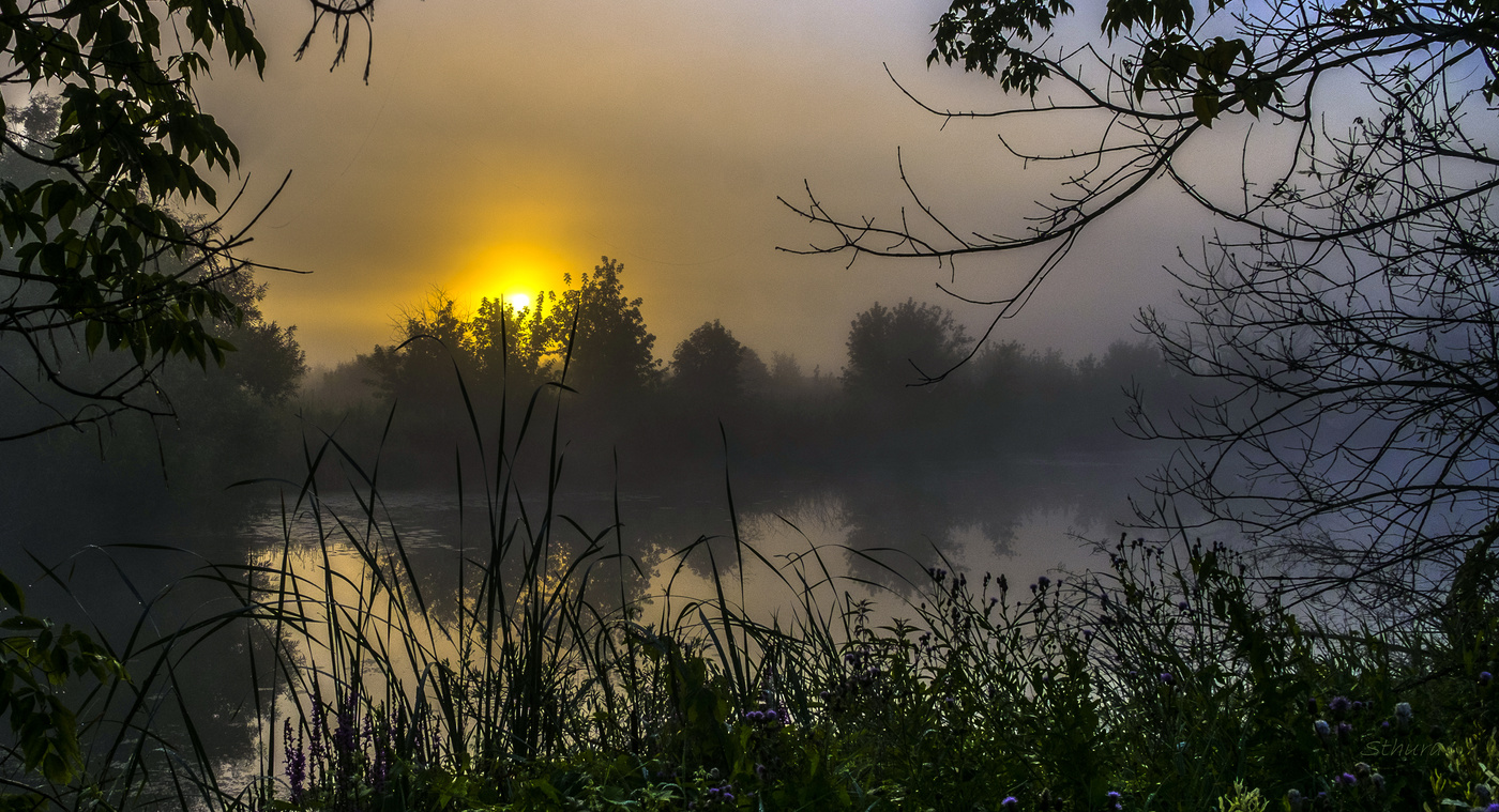 Летняя заря.