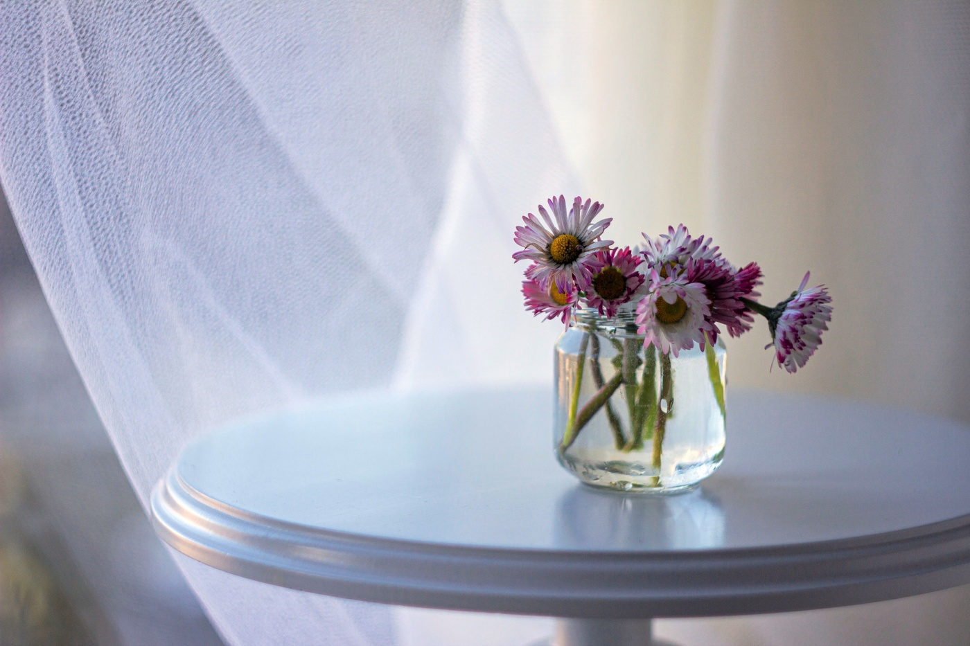 И в ноябре цветут цветы!...