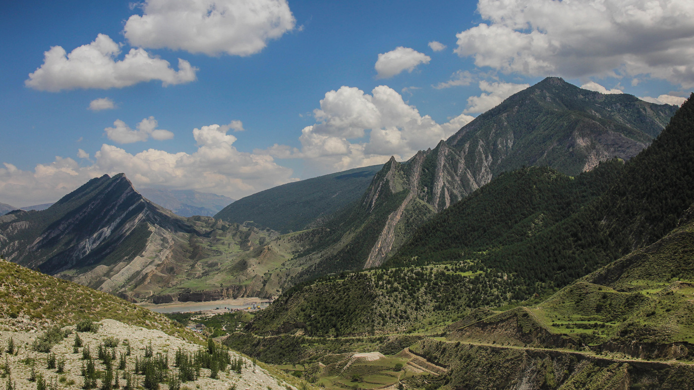 Спина дракона