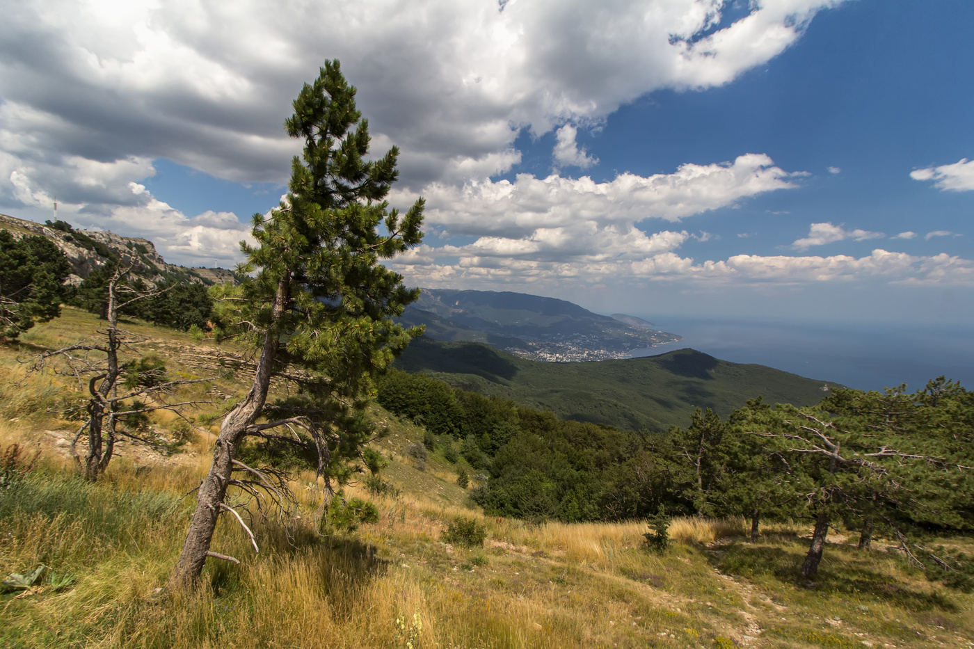 На Ай-Петри...