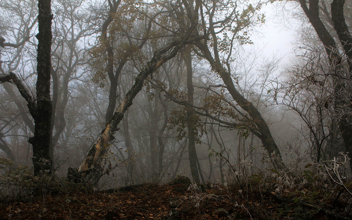 На Эльх-Кая