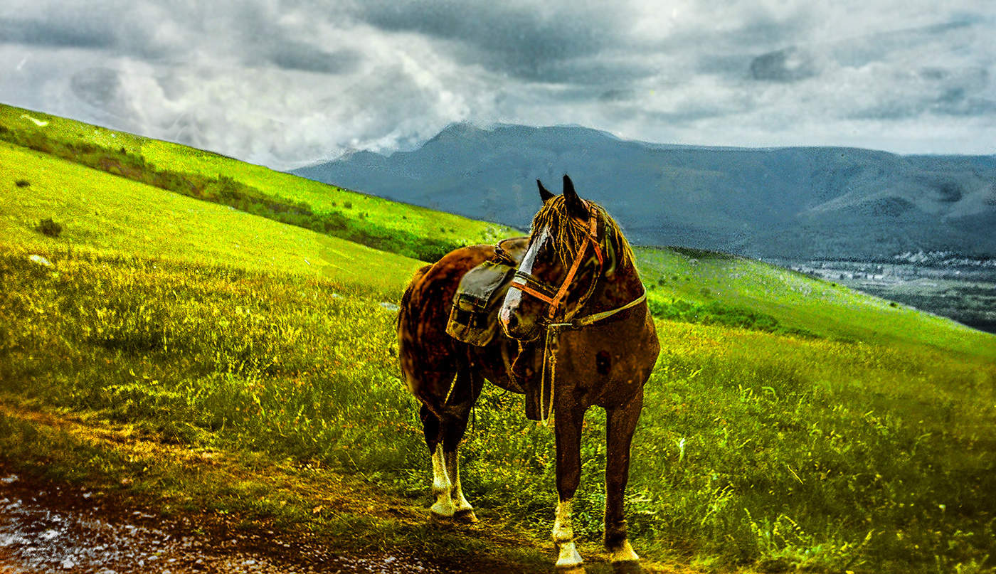 Мимолётное