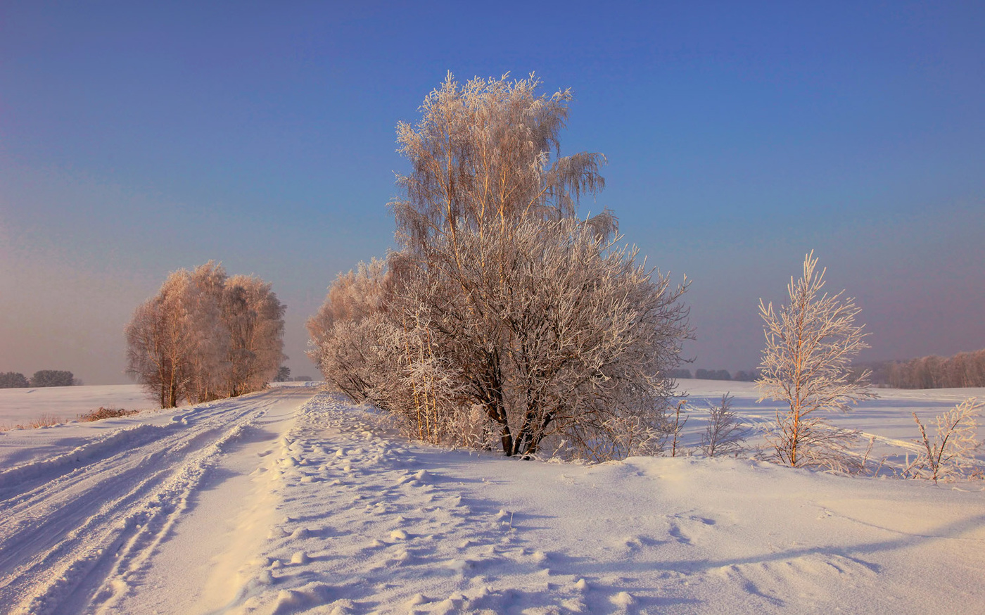 По зимней дороге...