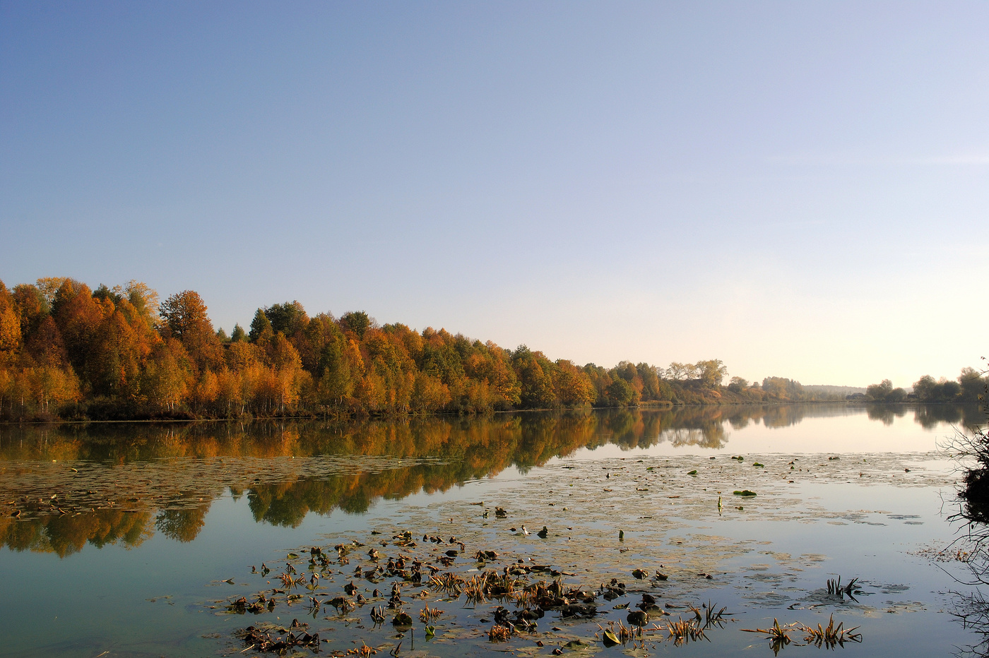 Цветная осень — вечер года ...