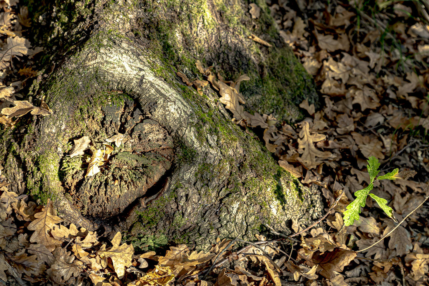 продолжение...