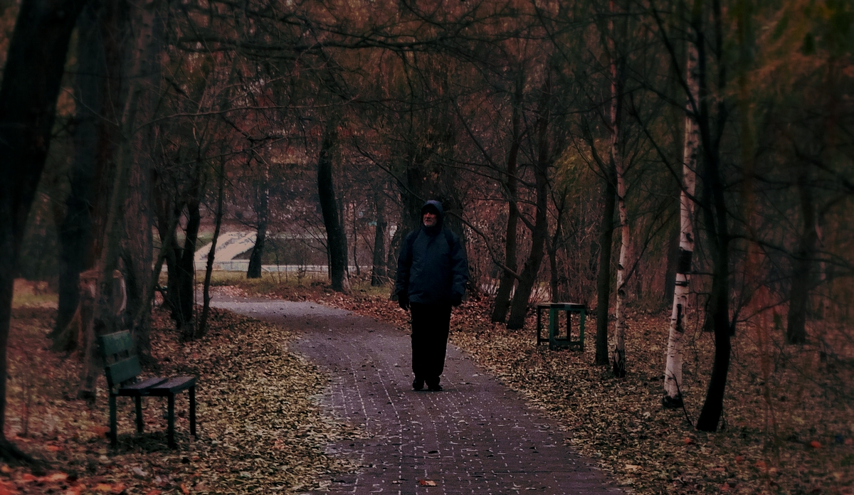 Идущий во тьму осени