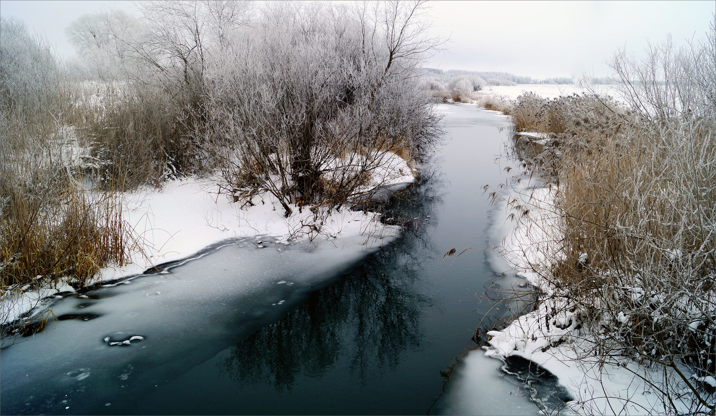 Морозным днём