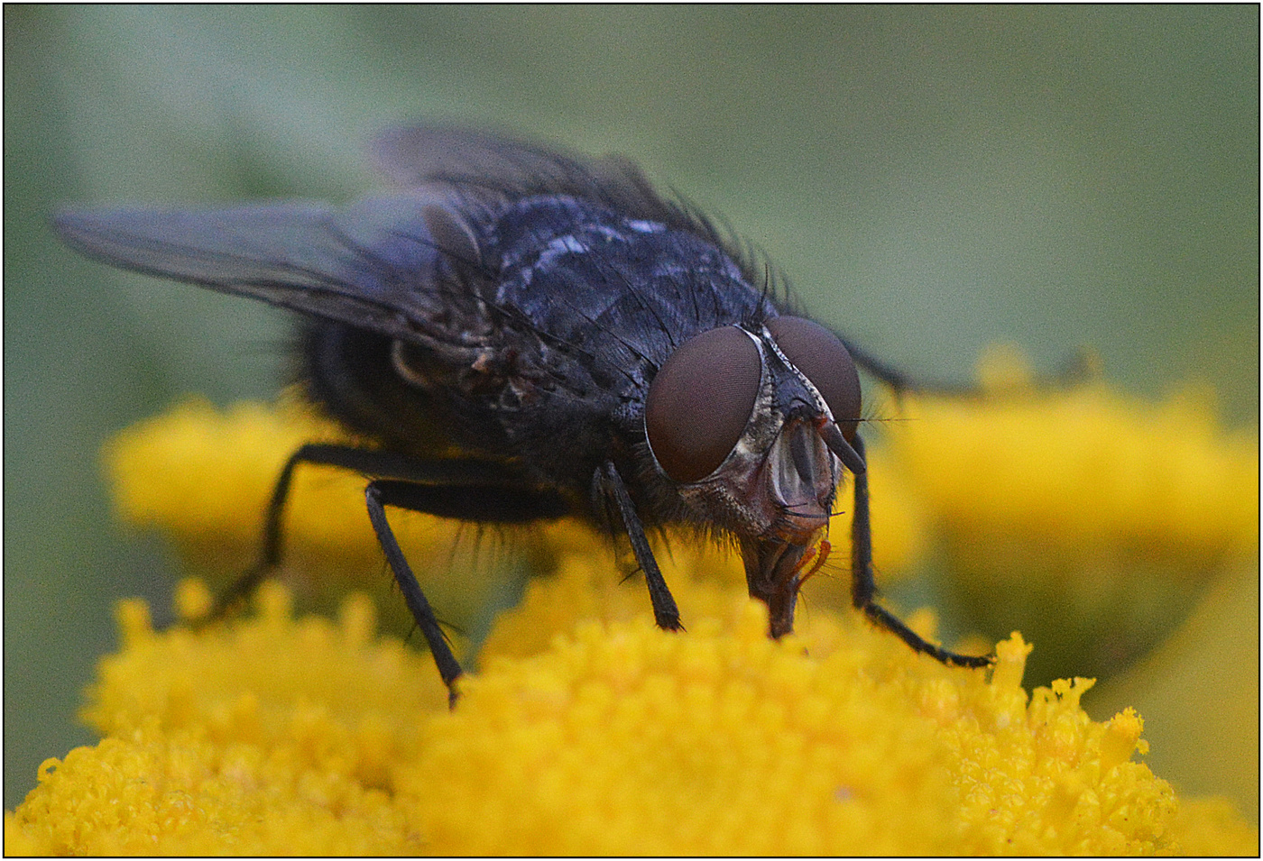 Осенняя пора.