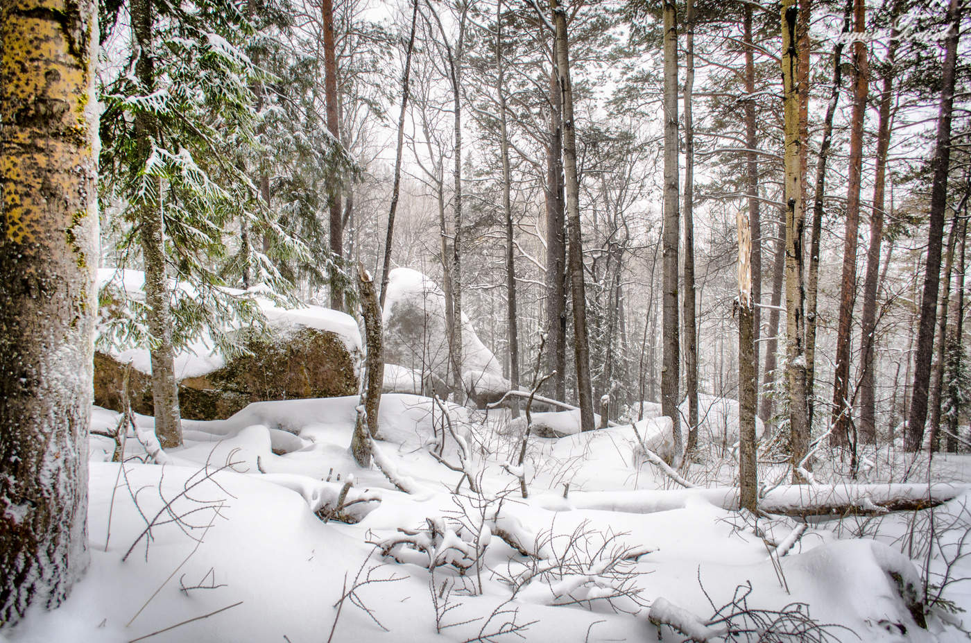 Национальный парк «Красноярские Столбы»