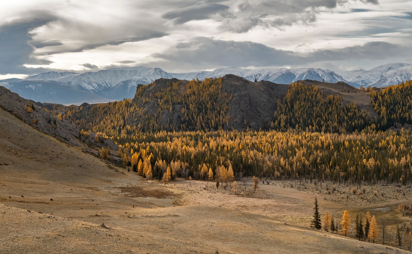 Северо-Чуйский хребет.