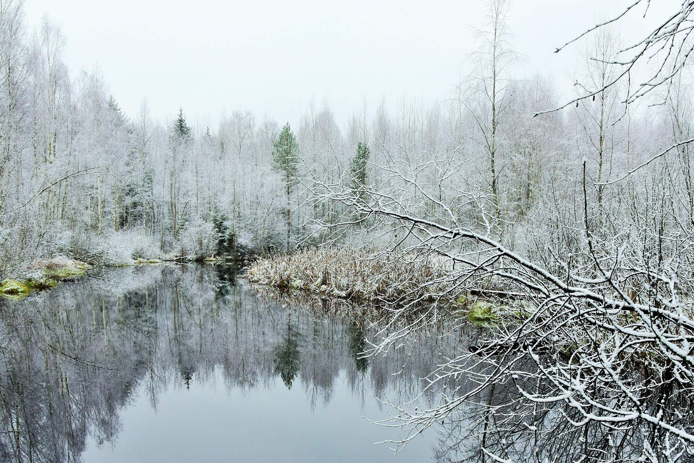 "Ноябрь рисует свой автопортрет ..."