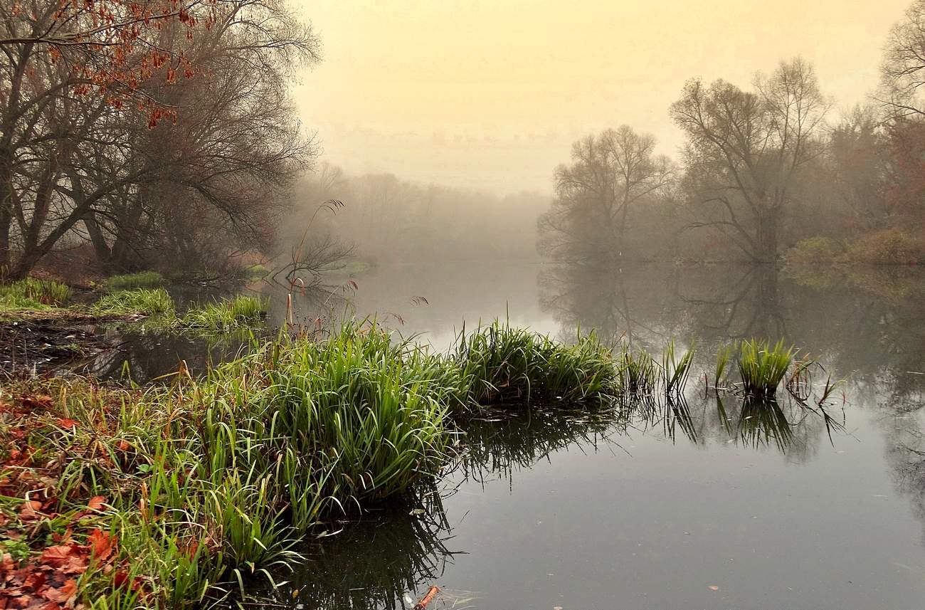 Туманный ноябрь