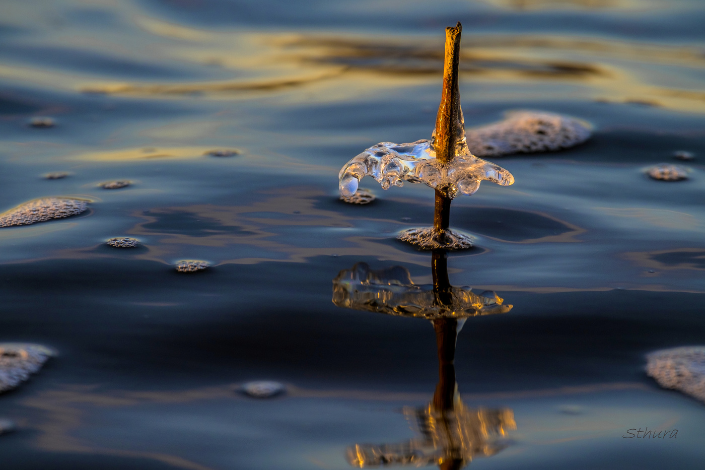 Осенние зарисовки.