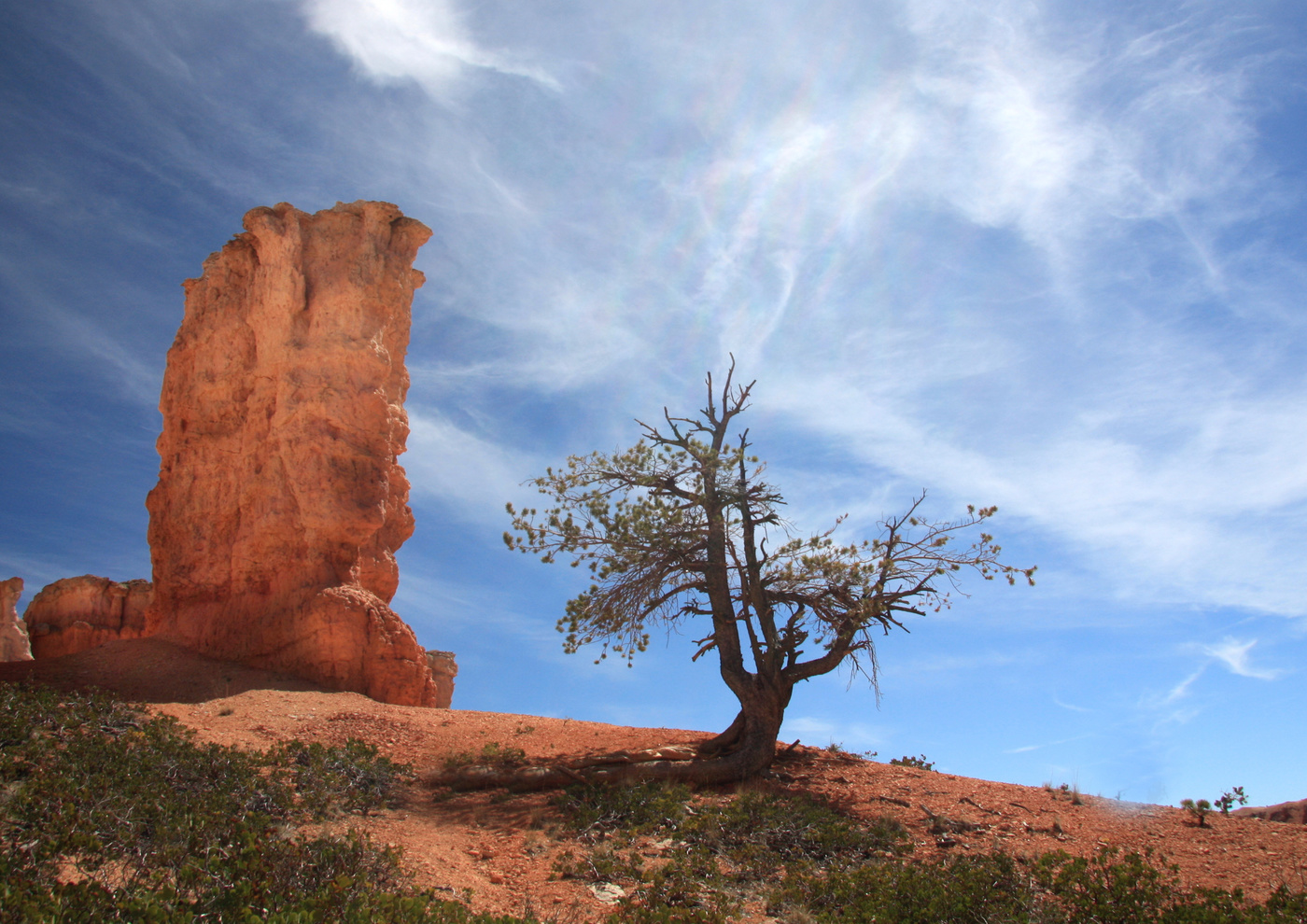 Горячий денек...