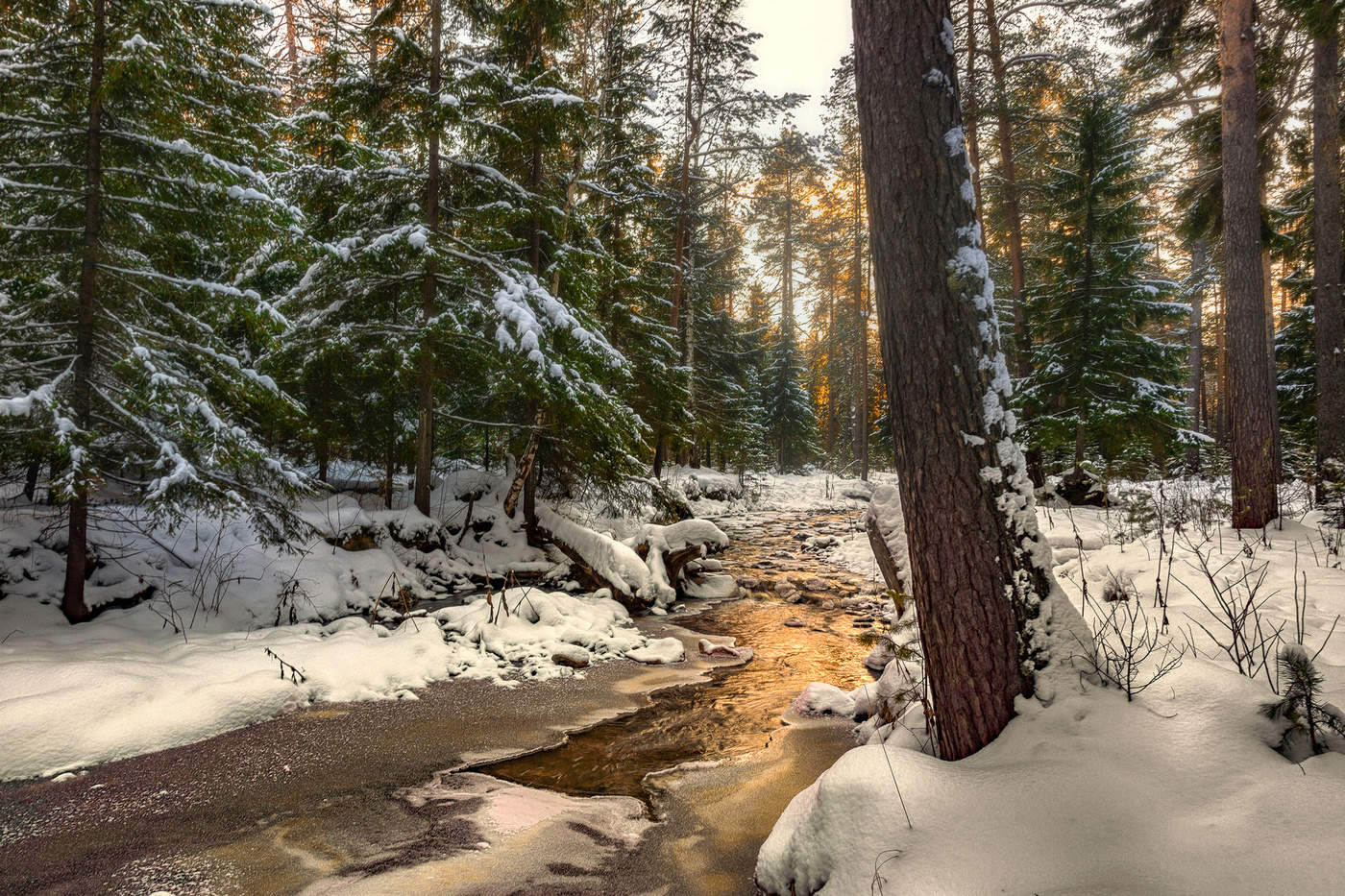 Вечерний свет