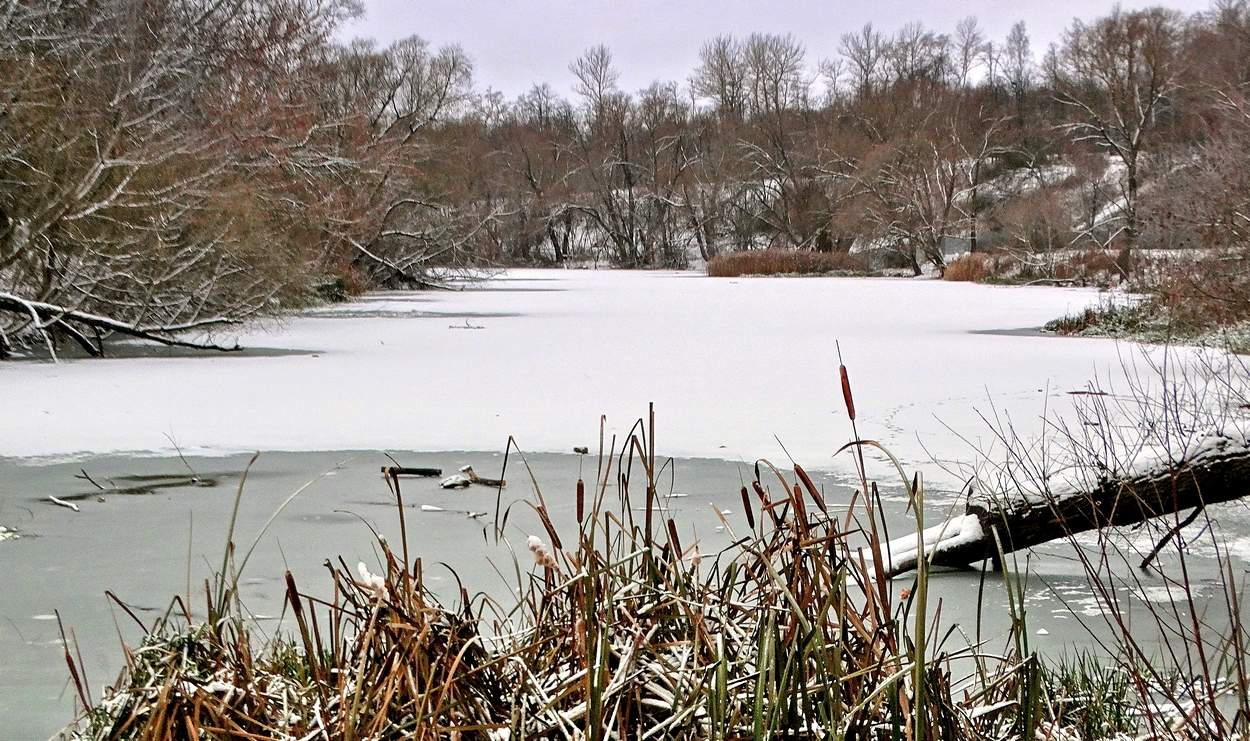 Вот и снег в ноябре выпал