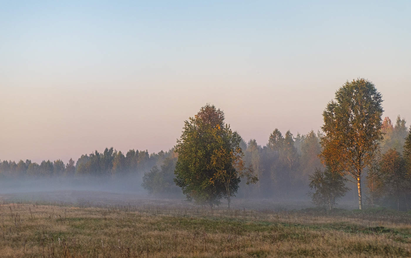 На солнечной полянке