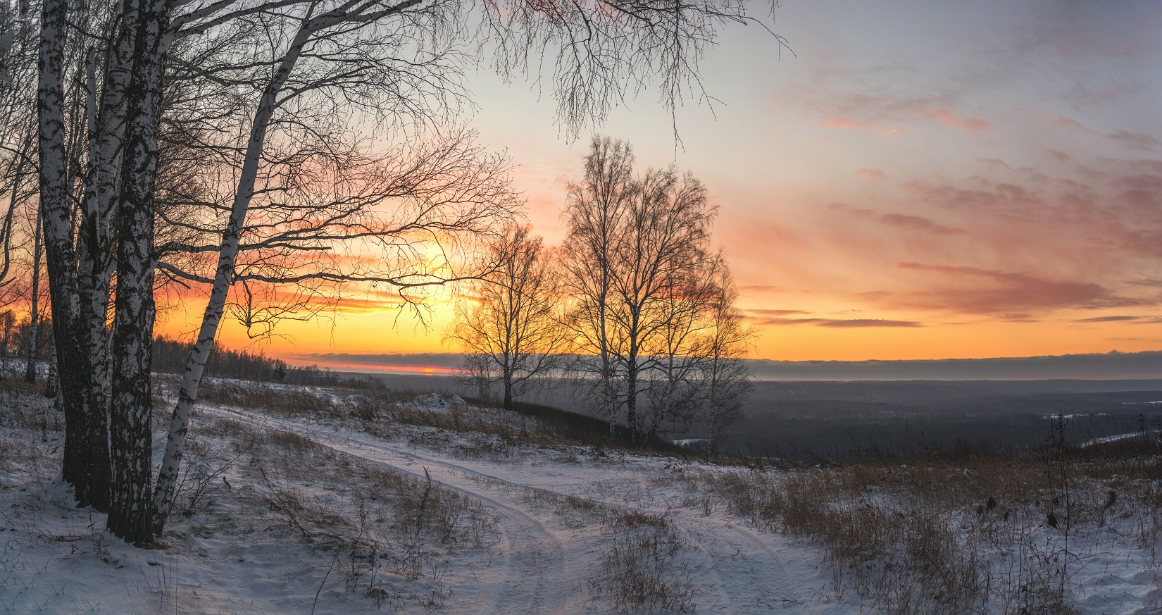 Утро октября