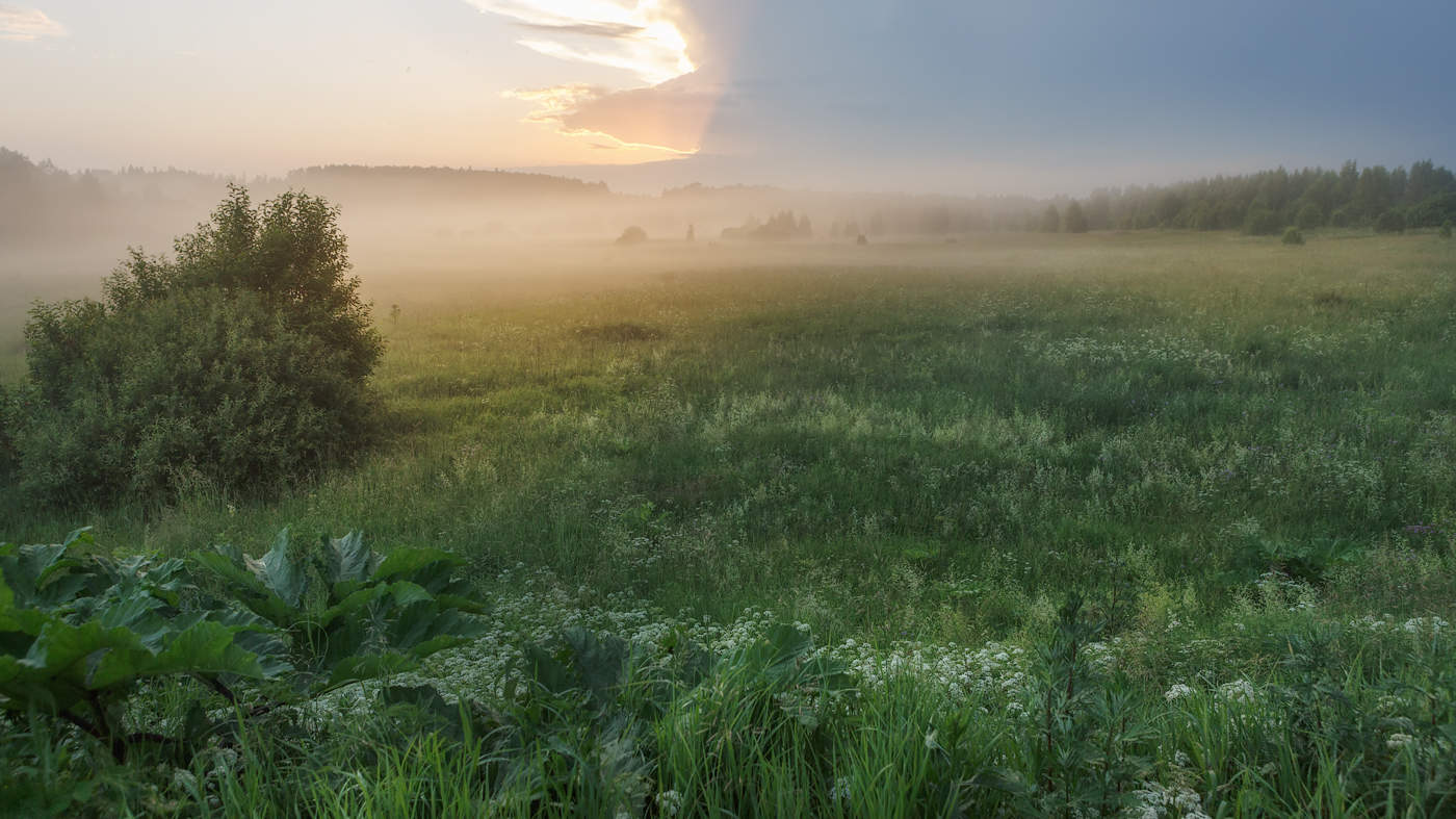 Перемена погоды