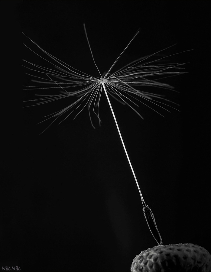 Последний танец