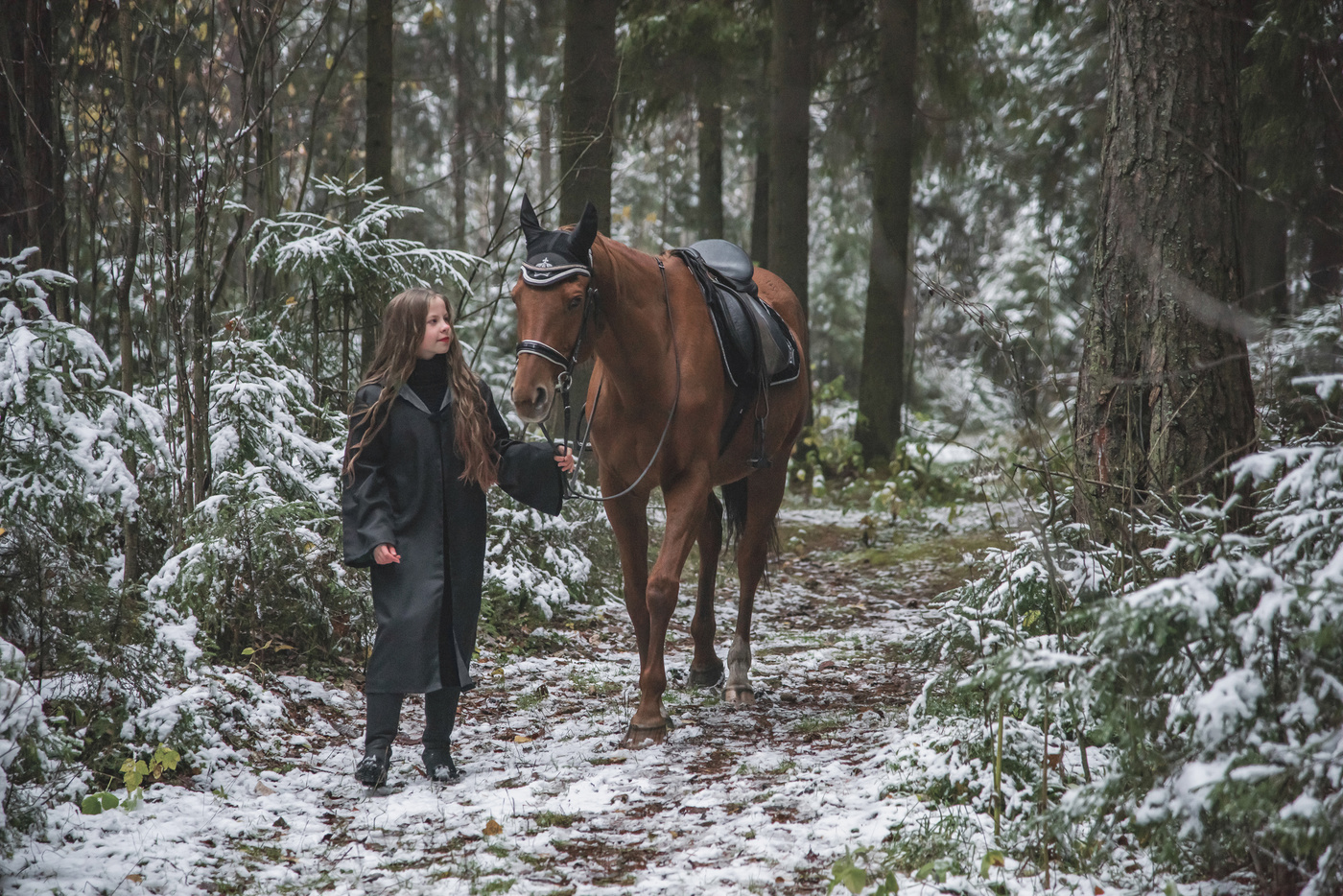Первый снег