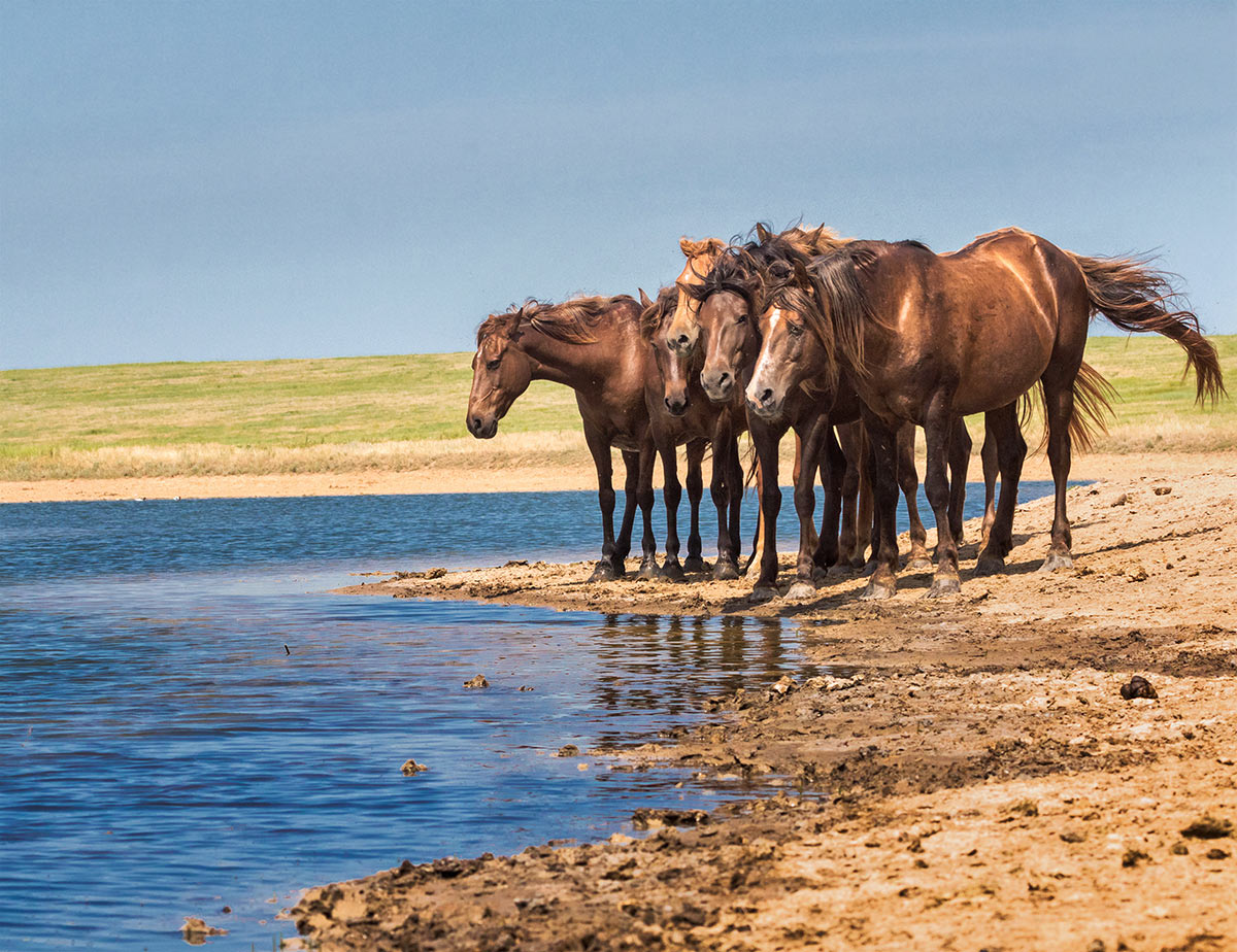 Вода соленая...