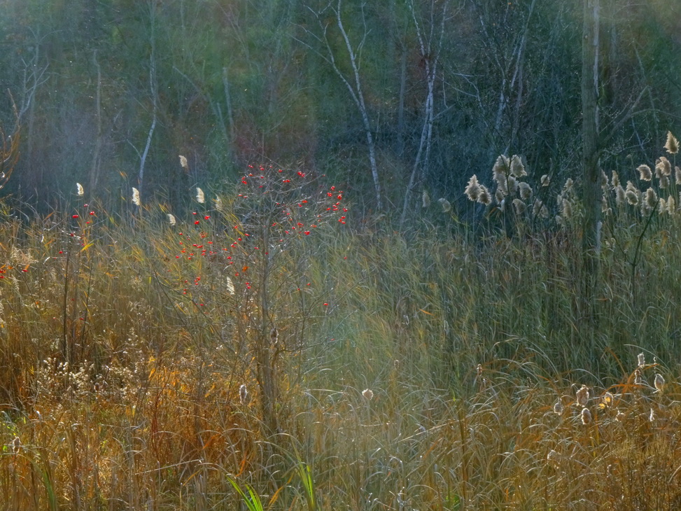 сказки поздней осени