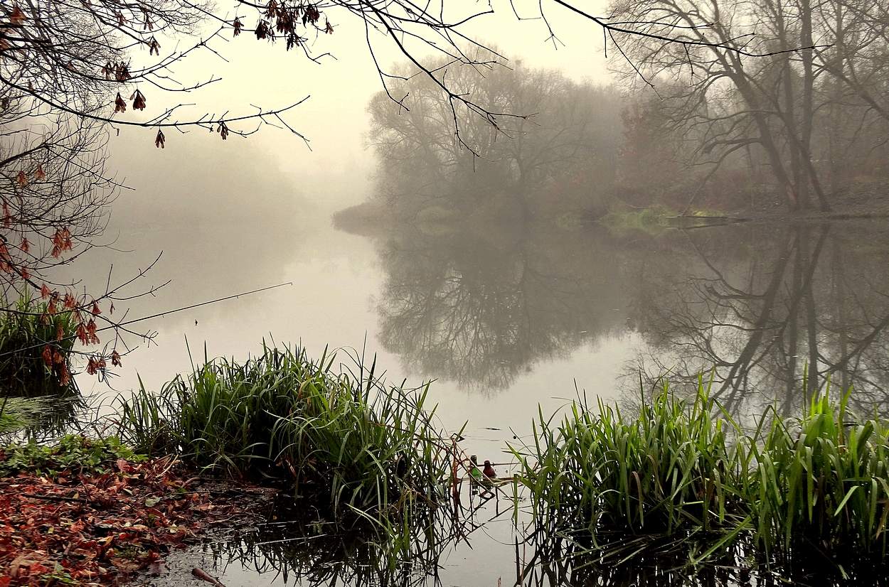 Вечер туманный в ноябре